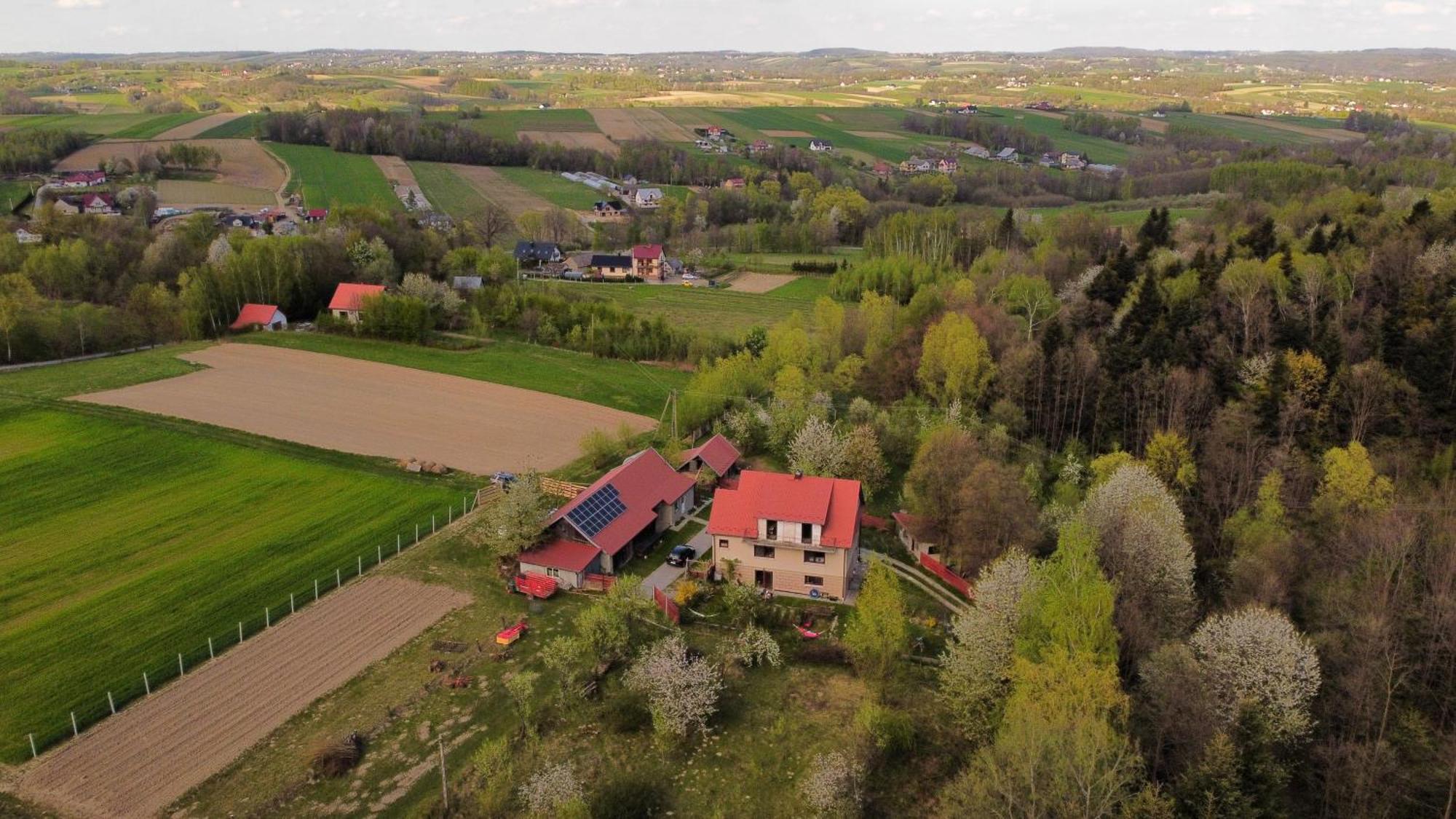 Agroturystyka U Babci 奇胡夫 外观 照片